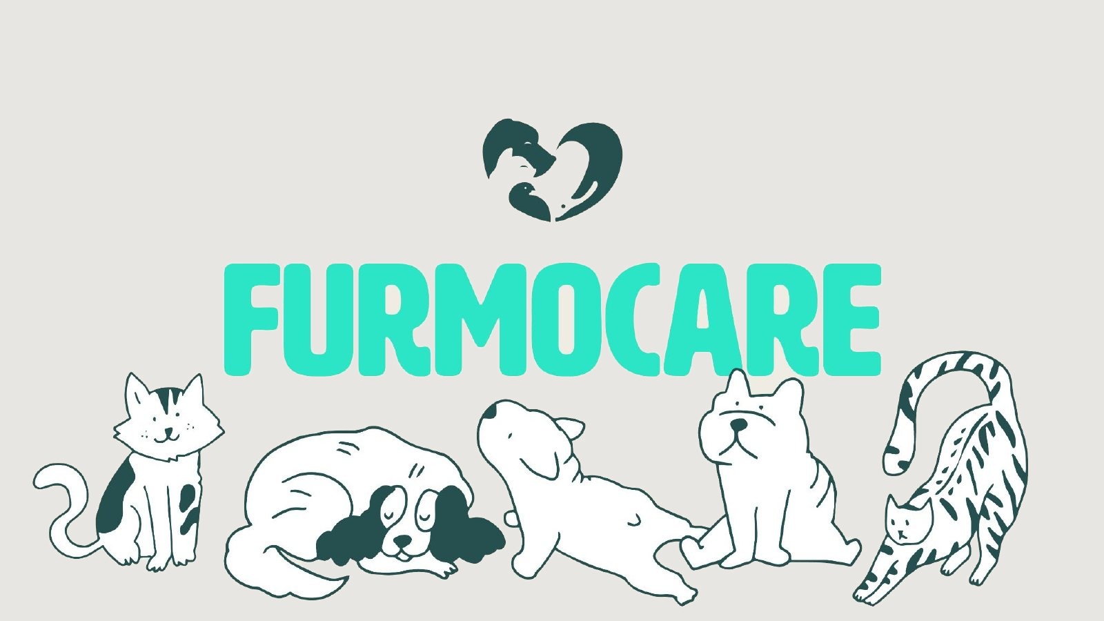Furmocare wordmark and heart icon above five illustrated cats and dogs