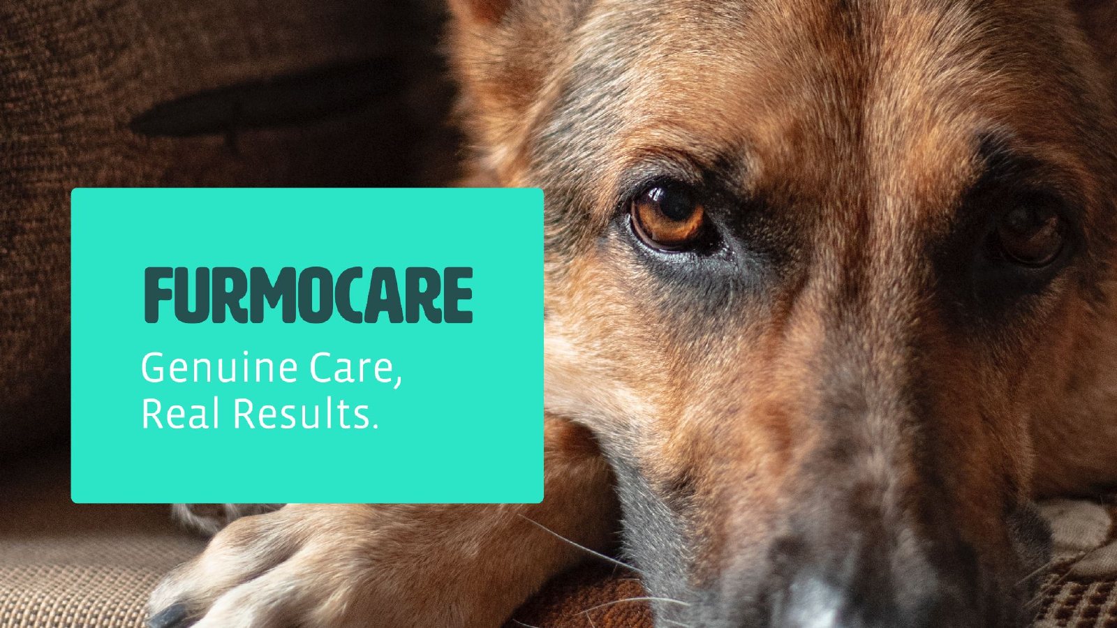 Genuine Care, Real Results over a close-up of a German Shepherd