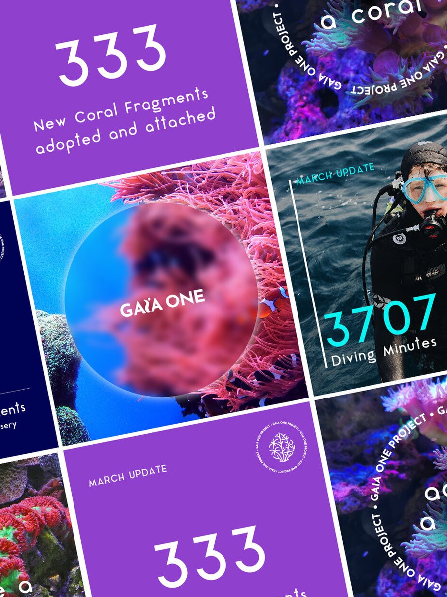 Grid of Gaia One Instagram posts with impact numbers and reef photography